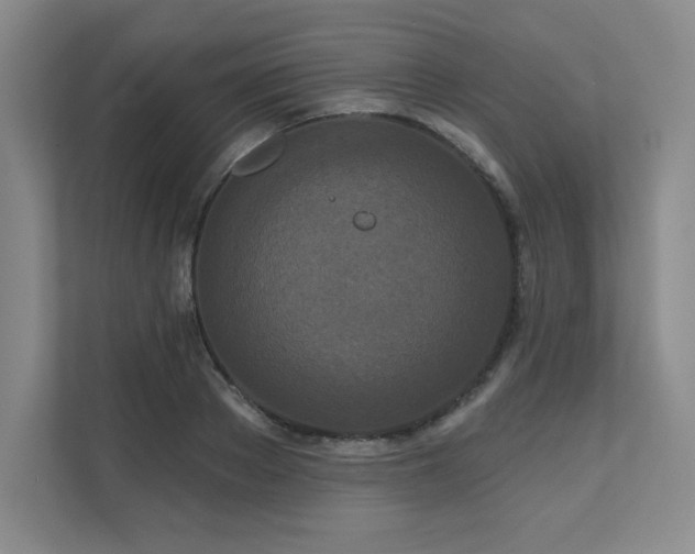 X0000111640889200907171544