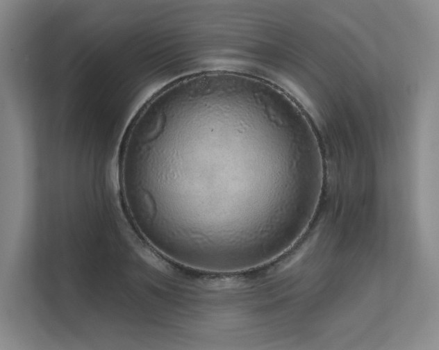 X0000111640891200907171544