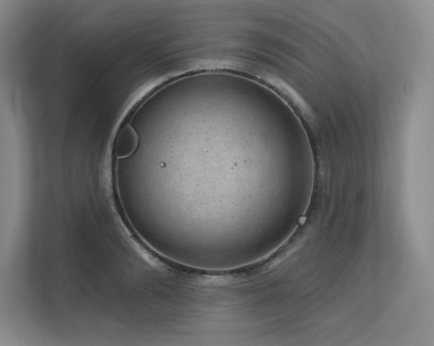 X0000111640894200907171544