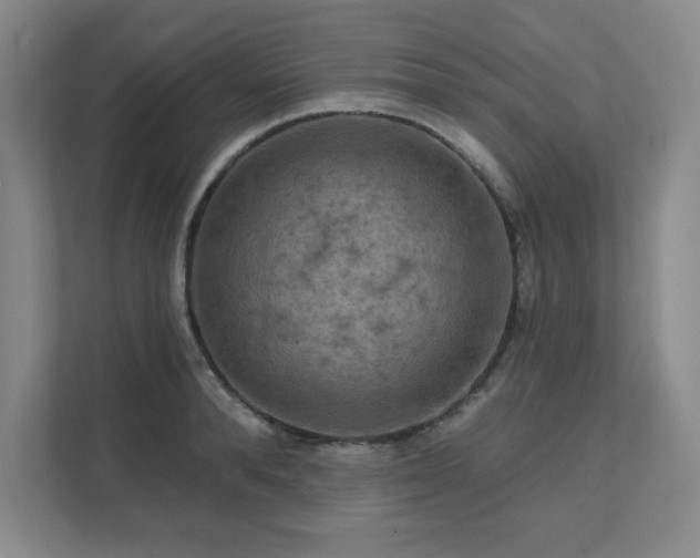 X0000111640896200907171544