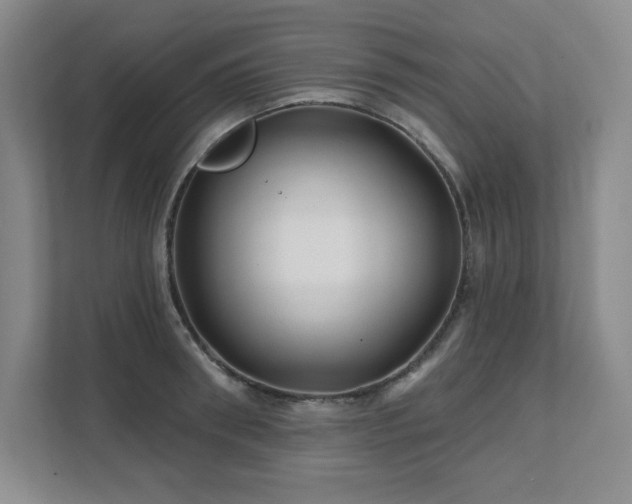X0000111640898200907171544