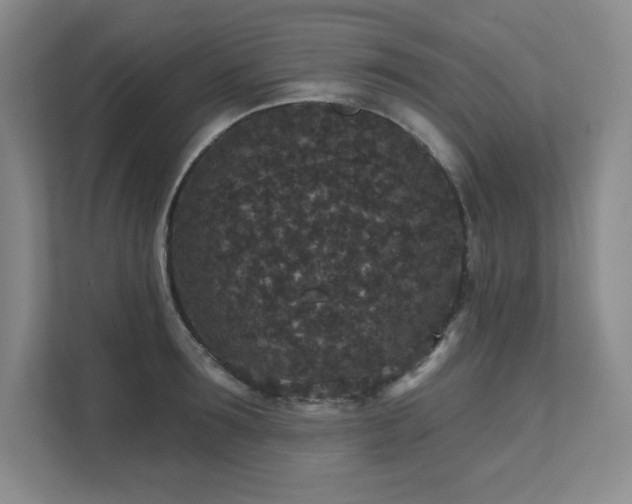 X0000111640899200907171544