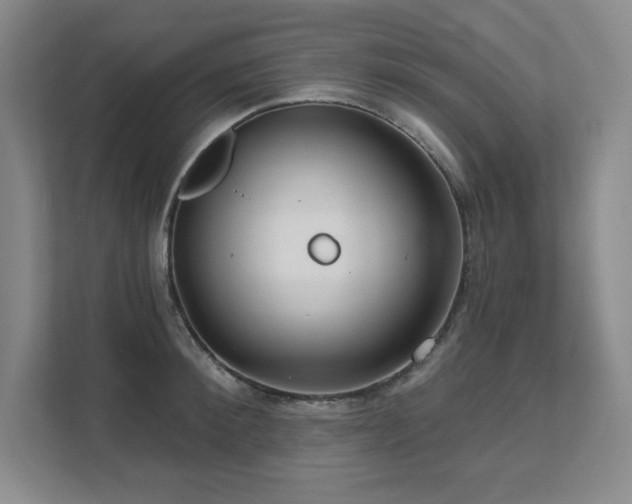 X0000111640900200907171544