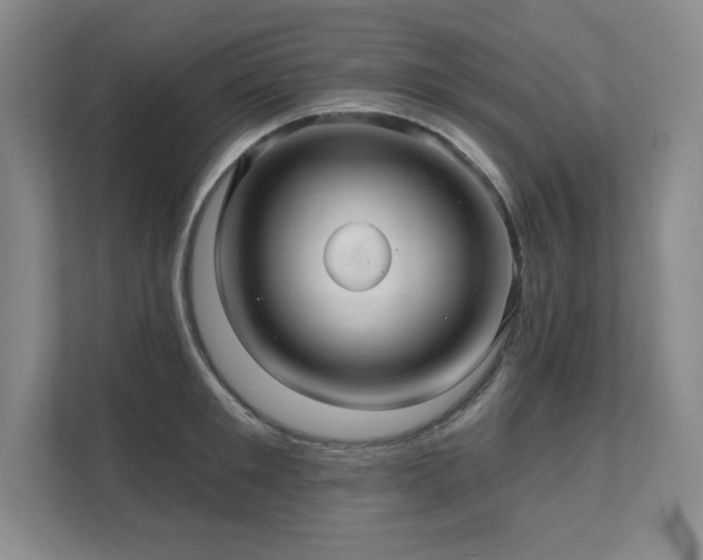 X0000111640901200907171544