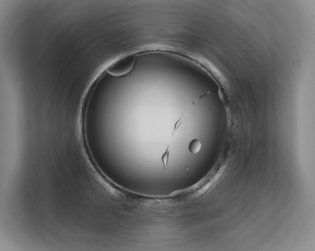 X0000111640902200907171544