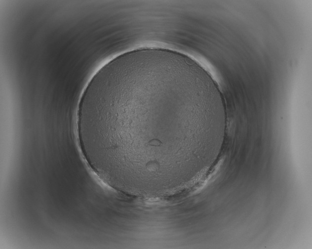 X0000111640903200907171544
