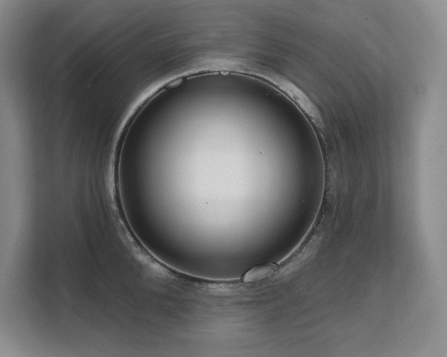 X0000111640904200907171544