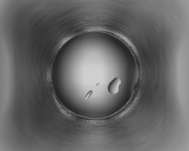 X0000111640905200907171544