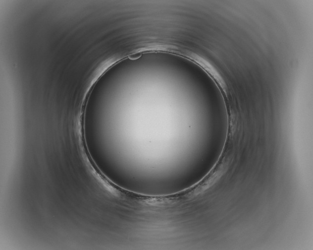 X0000111640906200907171544