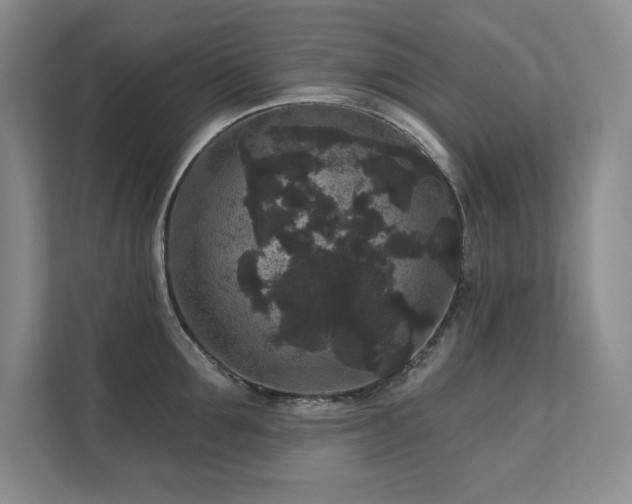 X0000111640907200907171544