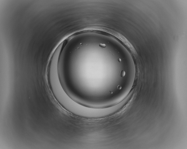 X0000111640908200907171544