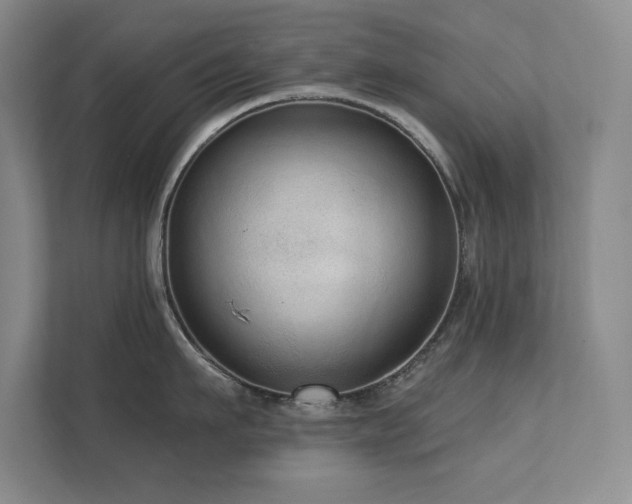 X0000111640911200907171544