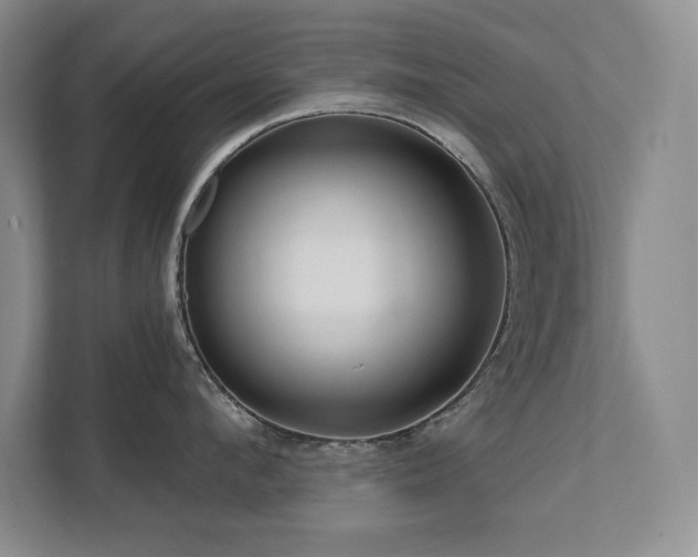 X0000111640912200907171544