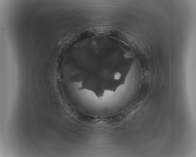 X0000111640913200907171543