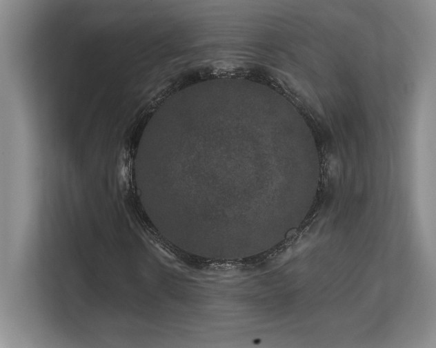 X0000111640914200907171544