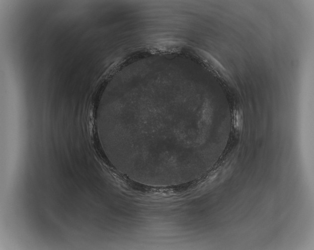 X0000111640915200907171544