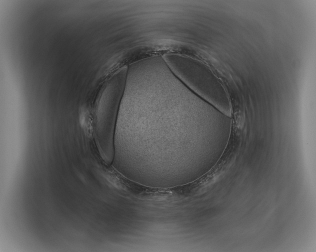 X0000111640916200907171544