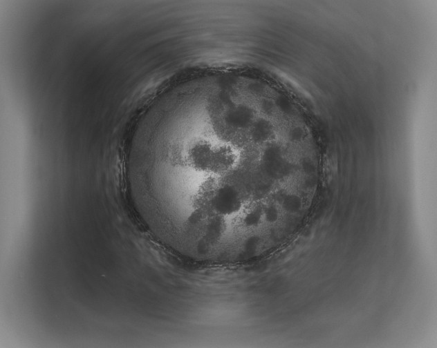 X0000111640917200907171544