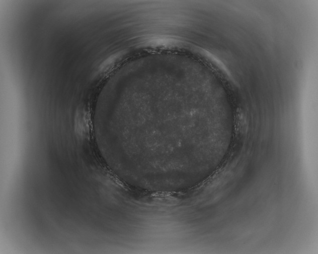 X0000111640918200907171544
