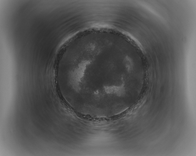 X0000111640919200907171544