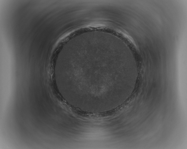 X0000111640920200907171544