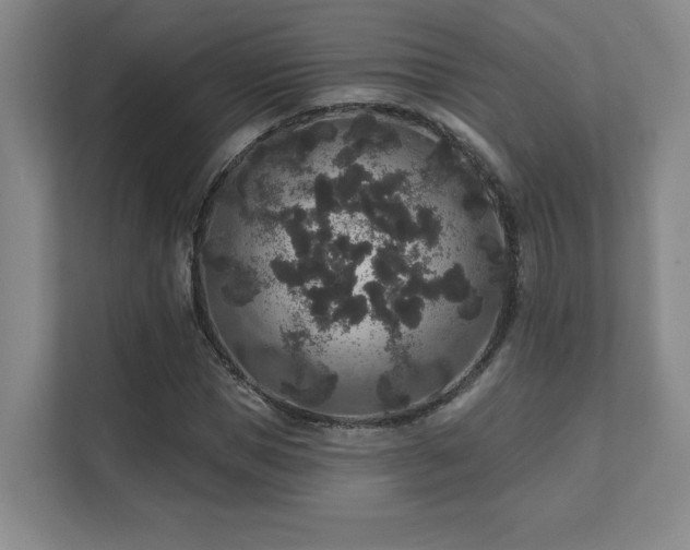 X0000111640921200907171544