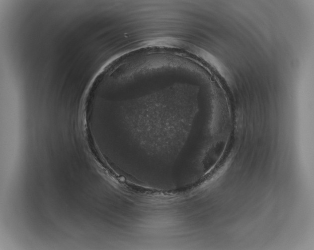 X0000111640923200907171544