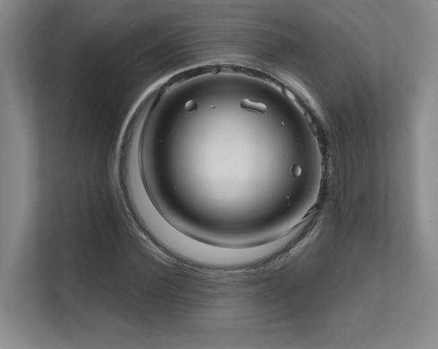 X0000111640924200907171544