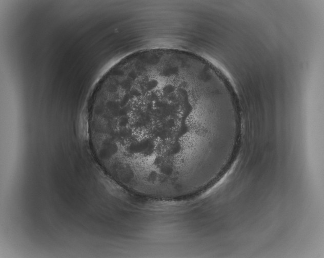 X0000111640925200907171544