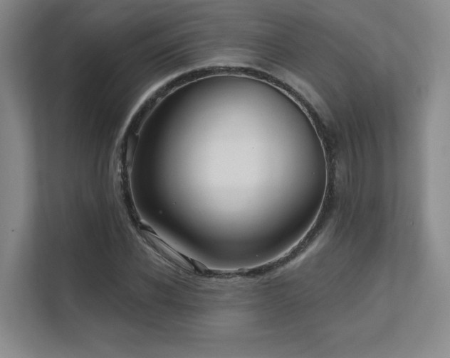 X0000111640926200907171544