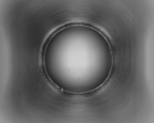 X0000111640927200907171544