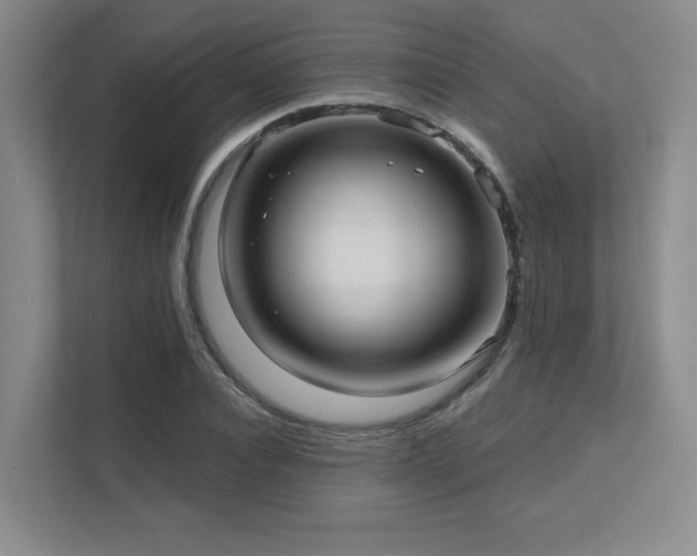 X0000111640928200907171544