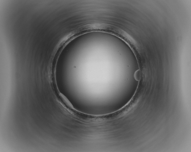 X0000111640930200907171544