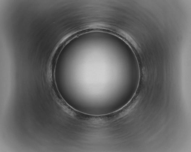 X0000111640931200907171544