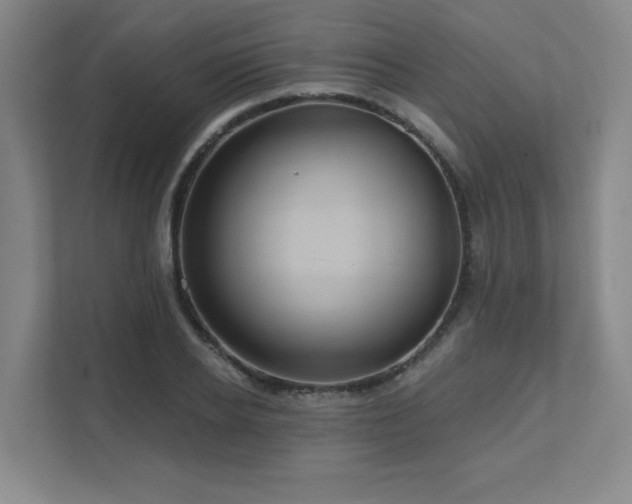 X0000111640934200907171544