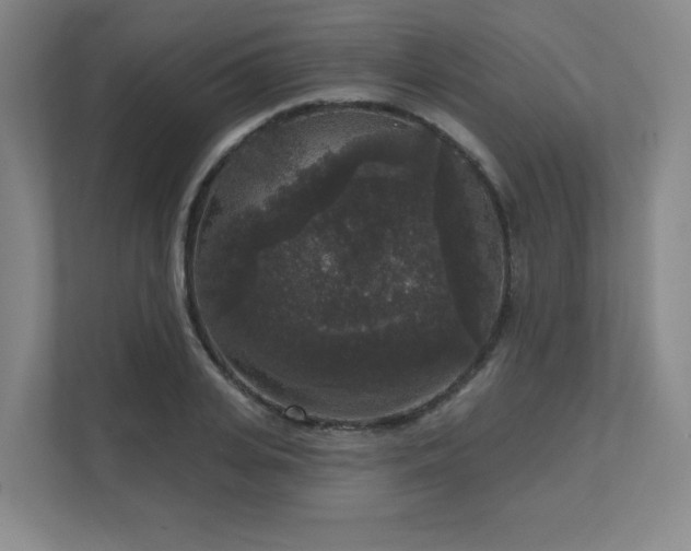 X0000111640935200907171544