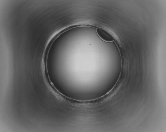 X0000111640936200907171544