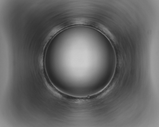 X0000111640938200907171544