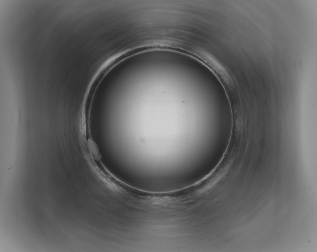 X0000111640940200907171544