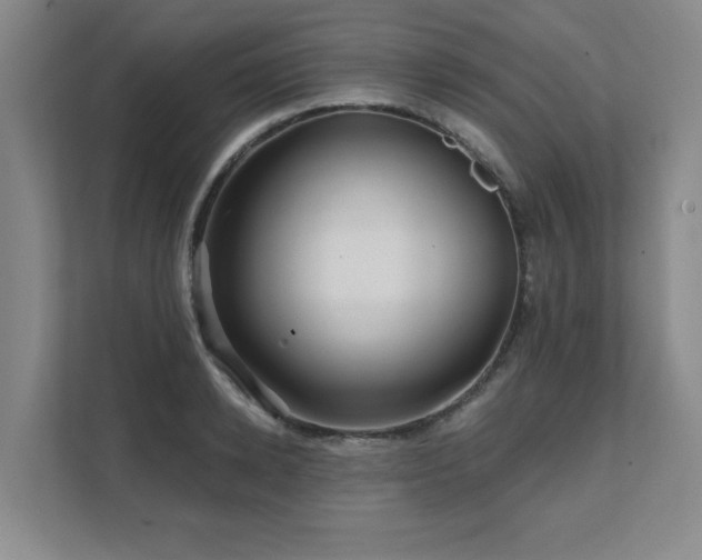 X0000111640942200907171544