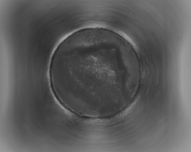 X0000111640943200907171544