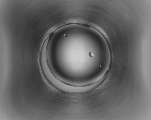 X0000111640946200907171544
