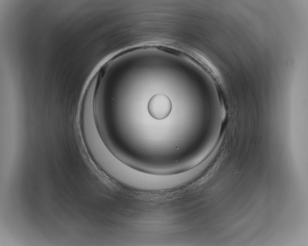 X0000111640948200907171544