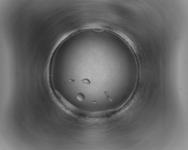 X0000111640949200907171544