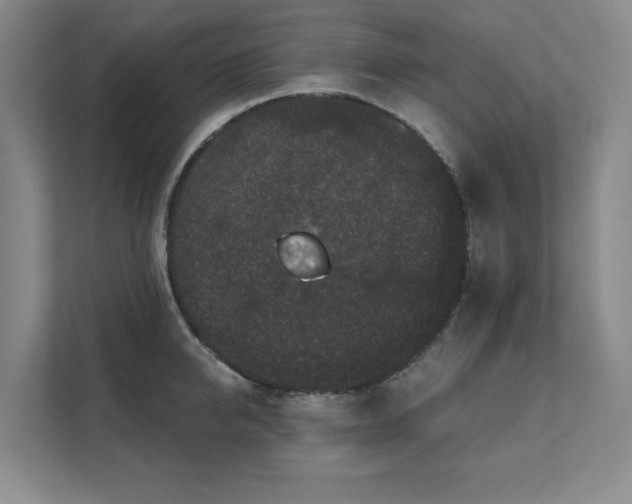 X0000111640950200907171544