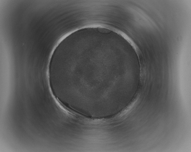 X0000111640951200907171544