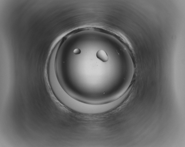 X0000111640952200907171544