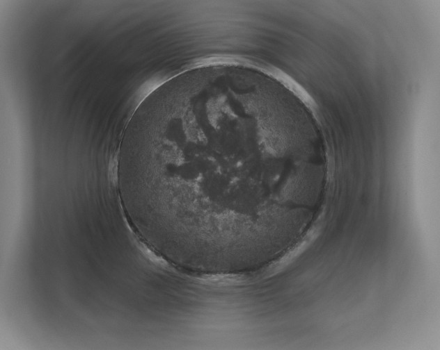 X0000111640953200907171544
