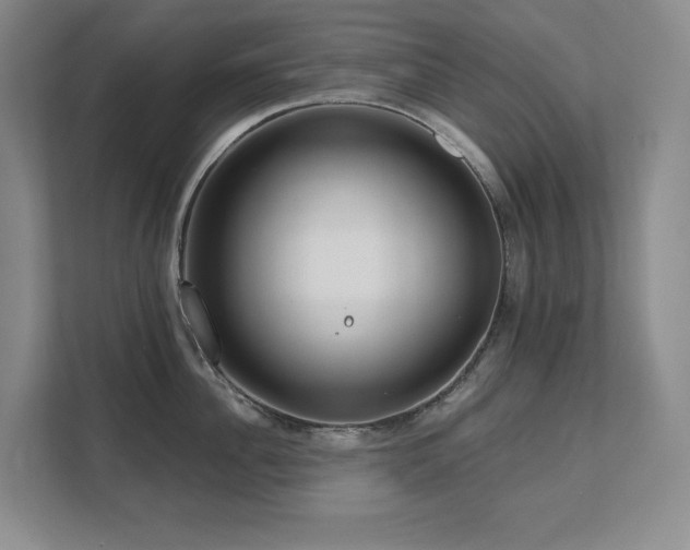 X0000111640956200907171544