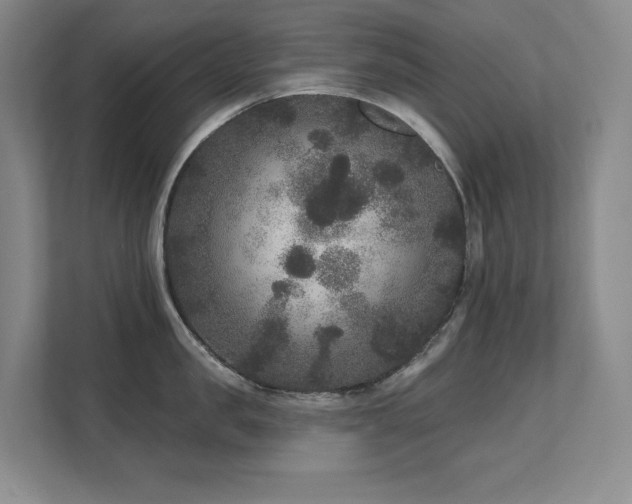 X0000111640957200907171544